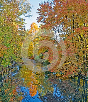Kinderhook Creek reflections Fall sugar maple trees