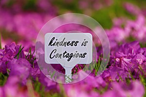 Kindness is contagious quote.