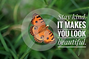 Inspirational quote - Stay kind. It makes you look beautiful. With beautiful orange butterfly flying on green grass background.