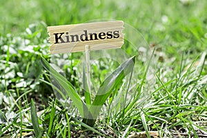 Kindness wooden sign photo