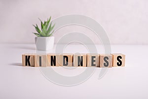 KINDNESS word made with building blocks on white
