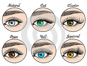 Kinds of lashes sets on blue, green, grey and brown eyes with brows
