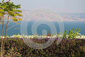 Kineret view photo