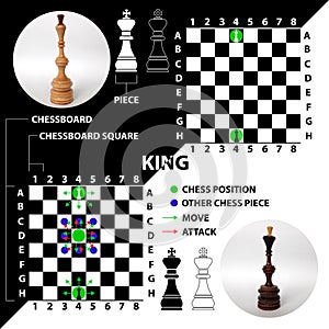 King. Chess piece made in the form of illustrations and icons.