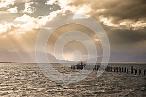 King Cormorant colony, Old Dock, Puerto Natales, Antarctic Patagonia, Chile. Sunset