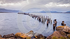 King Cormorant colony, Old Dock, Puerto Natales, Antarctic Patagonia, Chile. Sunset