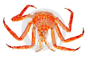 King crab photo