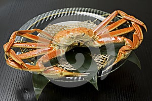 King Crab