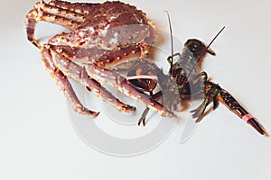 king crab and lobster live opposite each other on a white background.