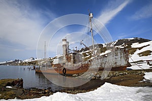 King Edward Cove, South Georgia and the Sandwich Islands, Antarctica