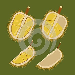 King of fruit also known as durian that has been cut and split open, ready to eat. Cartoon vector illustration.