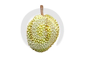 King of fruit,Durian isolated