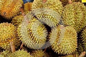 King of Fruit Durian tropical fruit background