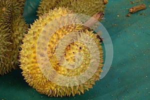 King of Fruit Durian tropical fruit background