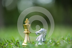 King and knight chess pieces on grass filed