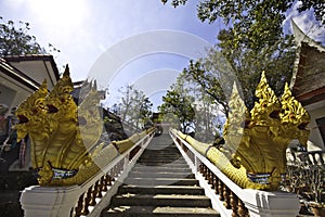 The king of Nagas at Khaokalok temple