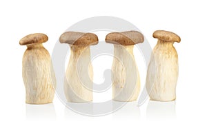 King Oyster mushroom (Eringi) isolated on white backgroud