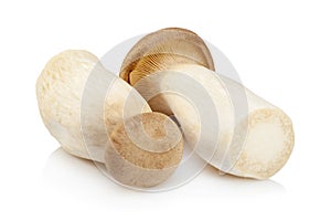 King Oyster mushroom (Eringi) isolated on white backgroud