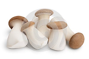 King Oyster mushroom or Eringi isolated on white background with clipping path and full depth of field.