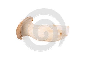 King Oyster mushroom (Eringi) on white backgroud