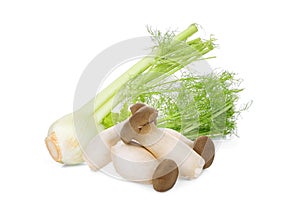 King oyster mushroom and fennel vegetable isolated on white background