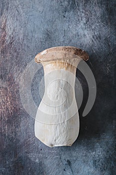 King oyster mushroom, Pleurotus eryngii, on dark background.