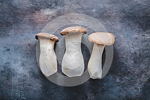 King oyster mushroom, Pleurotus eryngii, on dark background.