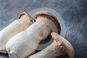 King oyster mushroom, Pleurotus eryngii, on dark background.