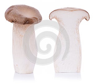 King oyster mushroom Pleurotus eryngii on white background