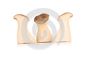 King oyster mushroom Pleurotus eryngii on white background