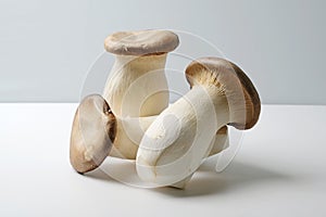 King oyster mushroom, Pleurotus eryngii on a white kitchen table, copy space