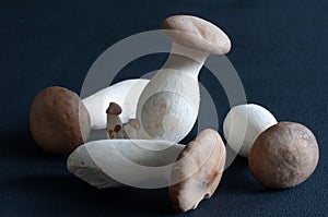 King Oyster mushrooms