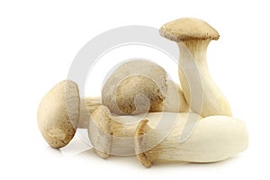 King oyster mushrooms (Pleurotus Eringii)