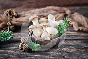 King oyster mushrooms pleurotus eryngii on the wooden background