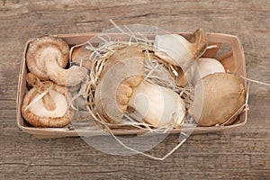 King Oyster Mushrooms on wooden background. Pleurotus eryngii