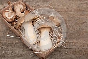 King Oyster Mushrooms on wooden background. Pleurotus eryngii