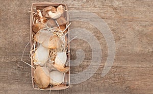 King Oyster Mushrooms on wooden background. Pleurotus eryngii