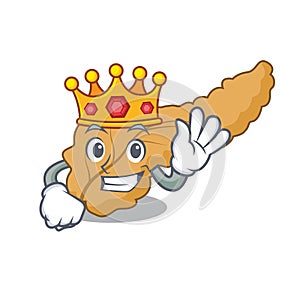 King pancreas mascot cartoon style photo
