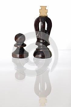 King and Pawn Chess Pieces.