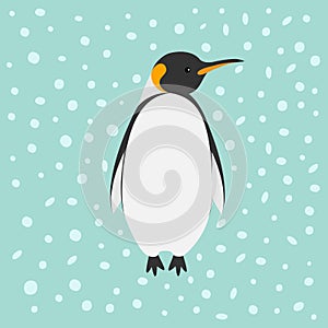 King Penguin Emperor Aptenodytes Patagonicus Snow in the sky Flat design Winter antarctica background