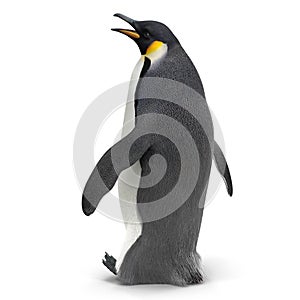 King penguin isolated on white. 3D illustration