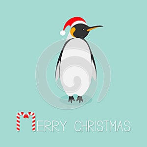 King Penguin Santa red hat. Emperor Aptenodytes Patagonicus Cute cartoon character. Flat design Winter antarctica bluebackground