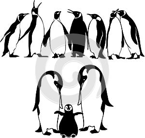 King penguins silhouette illustration set