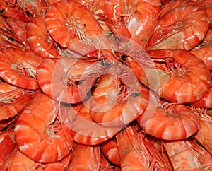 King prawns