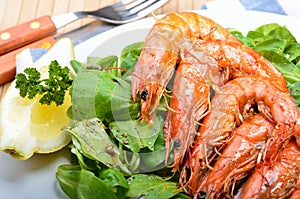 King Prawns on lamb's lettuce