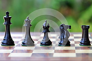 King, queen, bishop, knight and rook - chess pieces on a wooden board