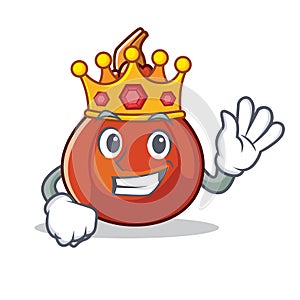 King red kuri squash mascot cartoon