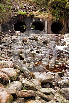 King River Tasmania