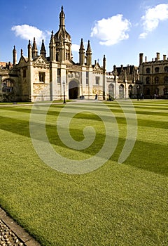 King's College lawn