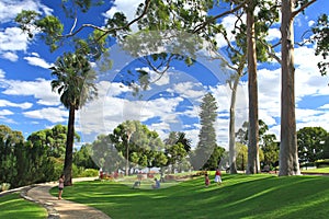 King's Park in Perth, Western Australia